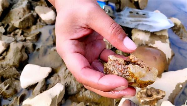 1997年，一小夥在內蒙花150元買了塊奇石，4年後專家估價9600萬