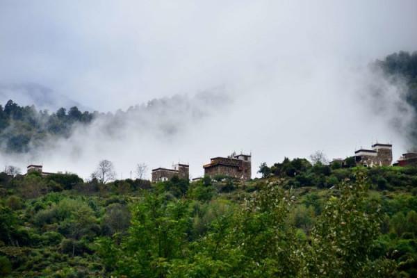 風雨莫斯卡 風雨莫斯卡