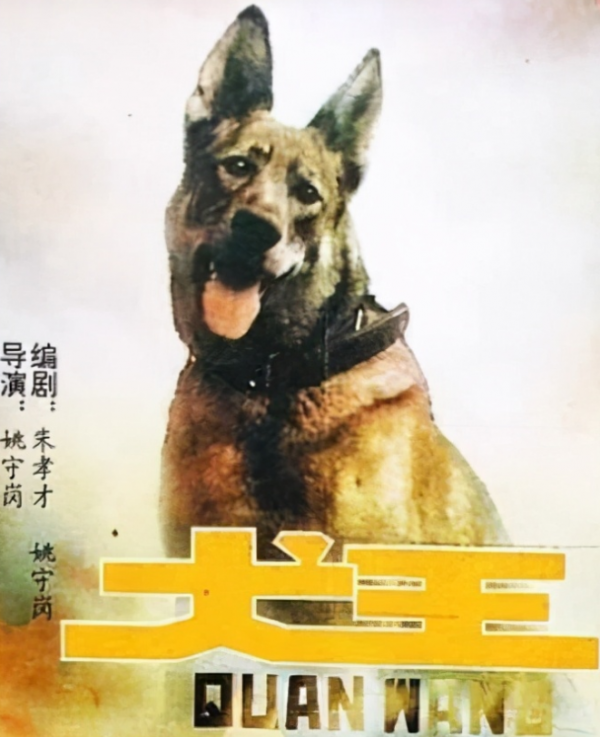 為了真實性，劇組將一隻軍犬炸成碎片，動物就活該為藝術獻身嗎？