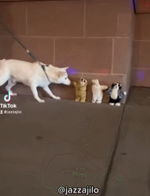 妹子表示紐約街頭很危險，卻被這樣一位街頭藝術家，瞬間治癒了