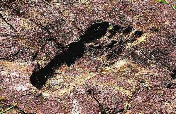 專家在1997年曾對“猴娃”曾繁勝的遺骨進行檢測,結果如何? 專家在1997年曾對“猴娃”曾繁勝的遺骨進行檢測,結果如何?