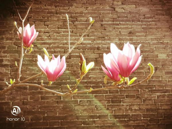 環城公園看不夠的風景