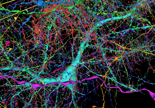 盤點：2021年科學領域“故事匯”