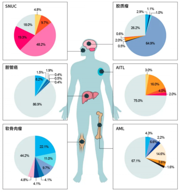 「週三讀文獻」大咖評 | 劉啟發教授：立足AML，展望未來，全面解析IDH突變對AML發展和治療的影響