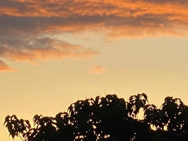 意不意外? 華為P50 Pro首測2: 網友要求再拍10組對比, 逼出它影像極限