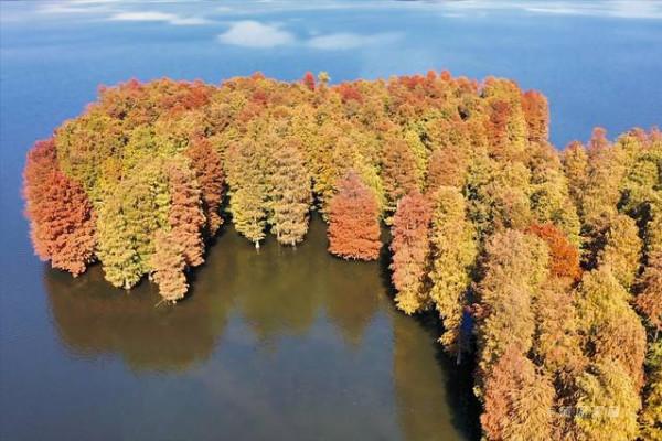 踏著深秋的落葉,去四明山來場自駕遊 踏著深秋的落葉,去四明山來場自駕遊