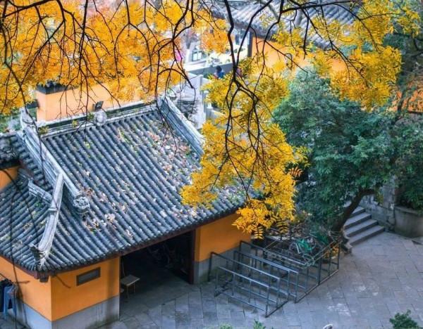 一入秋，南京就成了金陵