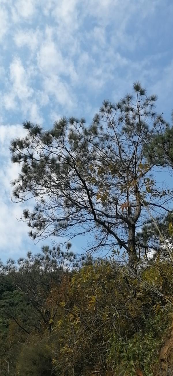 雲彩下的山城系列（九）