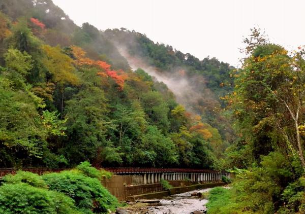 貴州有個滿滿負氧離子景點，號稱洗肺天堂，一個來了不想走地方