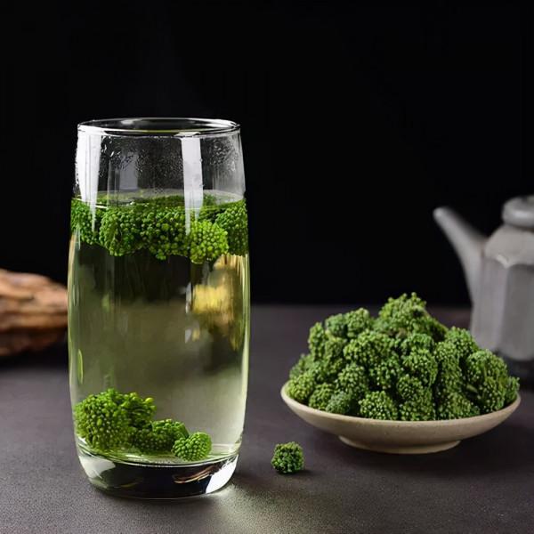 【馬博士聊本草】女科要藥（四）：三七的故事——日常用法舉隅