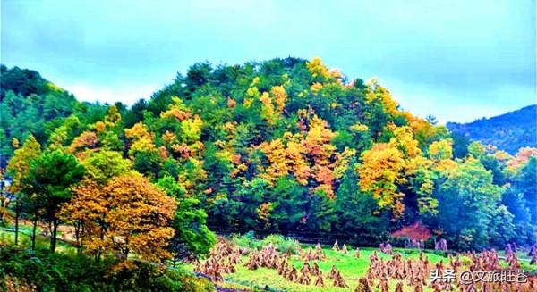 棒!天星鎮處處是美景,隨拍一張都是大片 棒!天星鎮處處是美景,隨拍一張都是大片