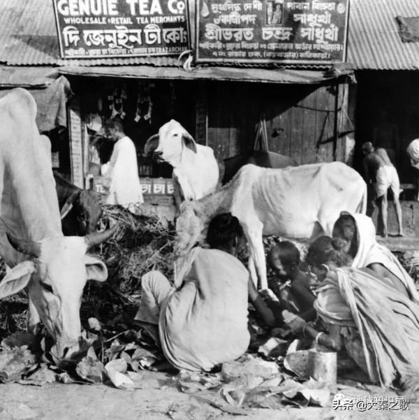 中國進藏修路，英國人幹嘛橫加阻撓？滇藏西線，為何80年後建成？