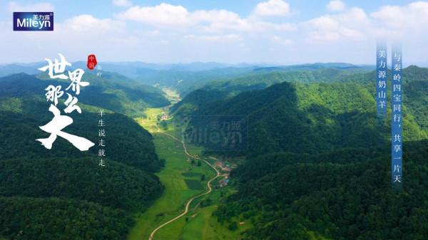 奶山羊的生活,我真的羨慕了 奶山羊的生活,我真的羨慕了