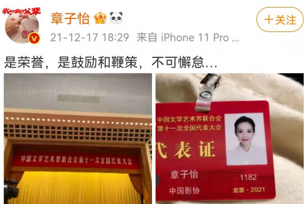 章子怡絕美證件照太有央視範！穿藕粉大衣超溫柔，海霞都變小迷妹