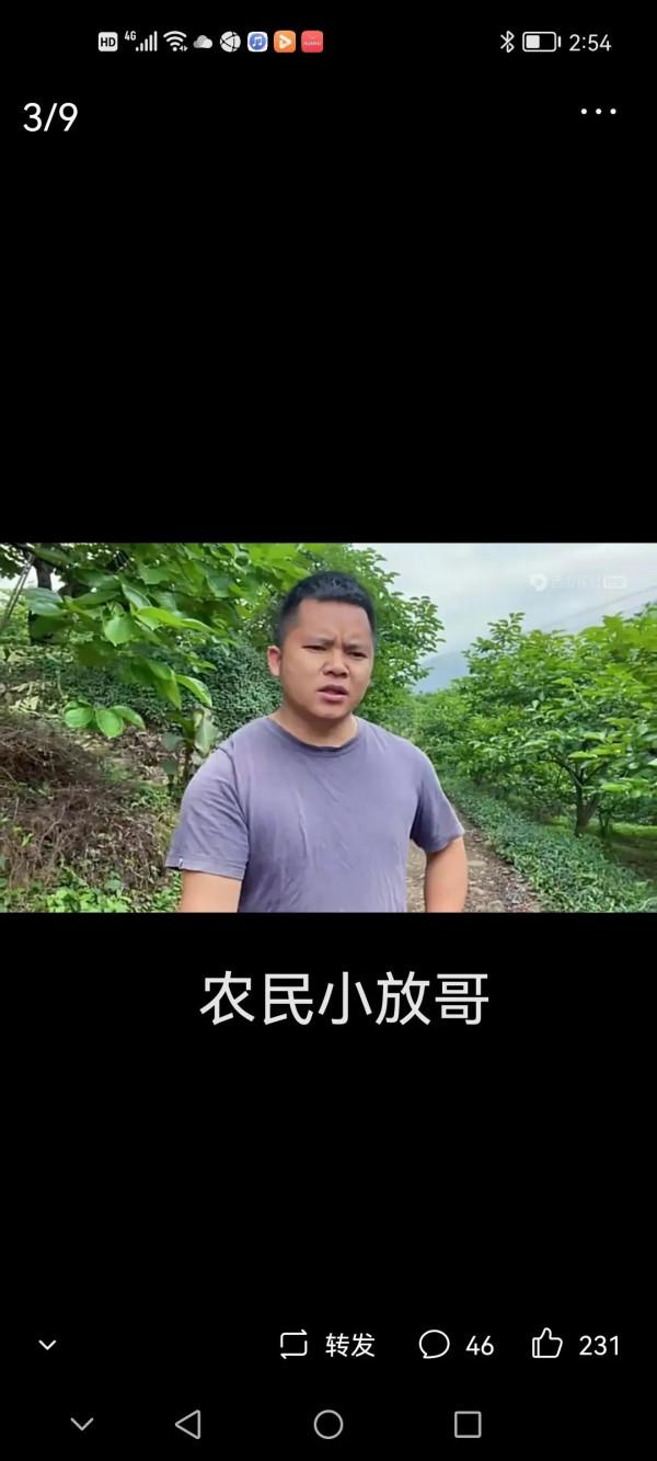 誰是新農人？新農人與三農自媒體對鄉村振興的意義