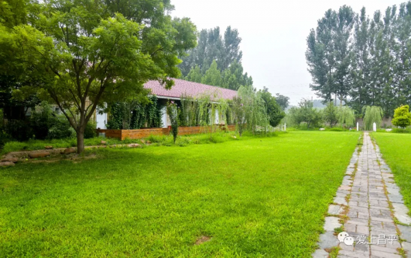 秋日農場嗨玩!露營野餐,種菜摘果,過嚮往的田園生活 秋日農場嗨玩!露營野餐,種菜摘果,過嚮往的田園生活