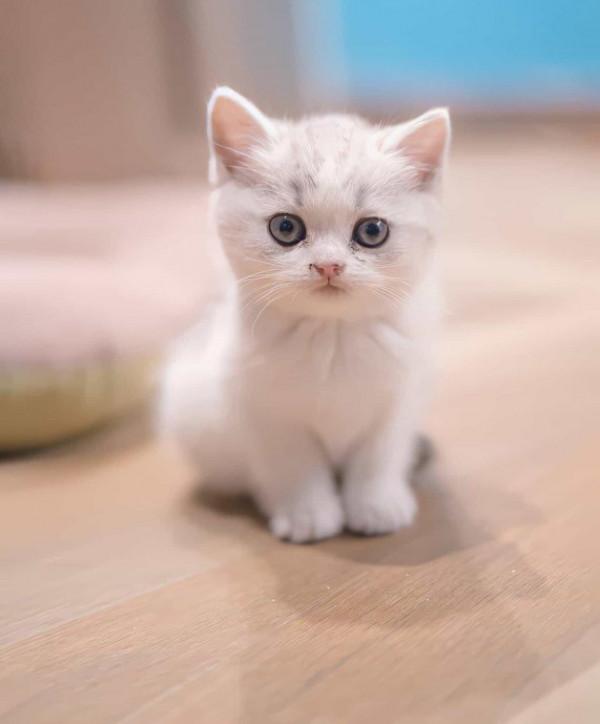 孩子們就像一根隱形的線，牽著家長們