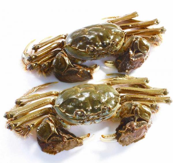 遼寧除了瀋陽大連，最有發展潛力的是這三座城，有你的家鄉嗎？