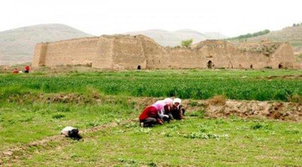 普通村莊遍地古錢幣，孩童拿它當玩具，20多噸古錢幣從何而來？