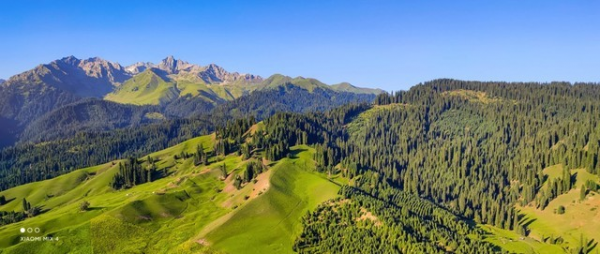 上億畫素照片列印 愛普生新品旗艦實測