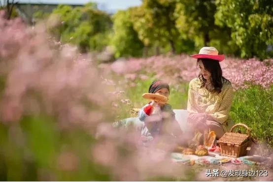 農莊案例展示（英國伊甸園+定製活動+田園場景）