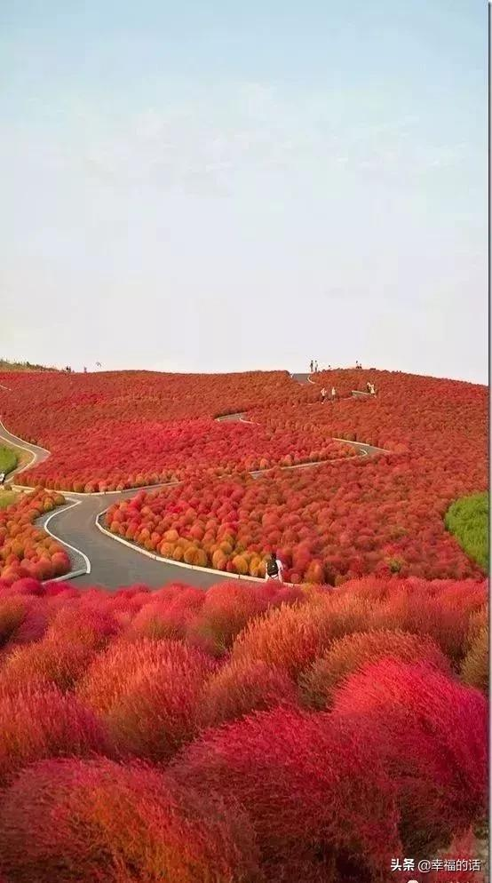 五彩繽紛的世界 五彩繽紛的世界