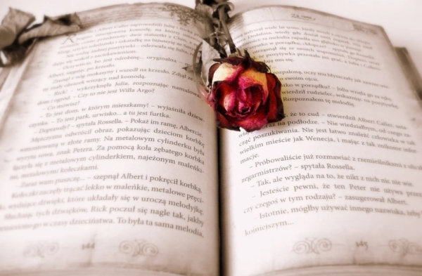 讀完《平凡的世界》，我明白了人為什麼要讀書