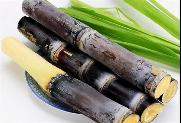 胃不好的人可以吃甘蔗嗎?醫生建議:常見的6類食物也儘量少吃 胃不好的人可以吃甘蔗嗎?醫生建議:常見的6類食物也儘量少吃