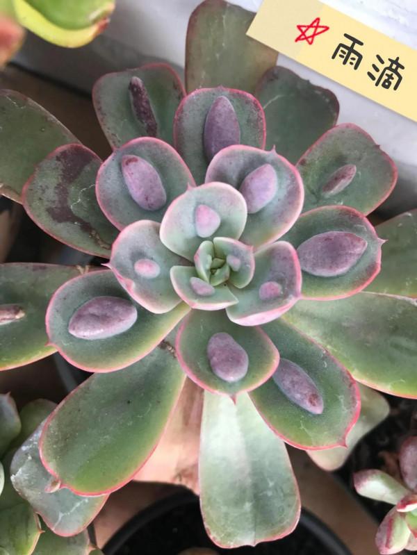 看人間煙火 看人間煙火