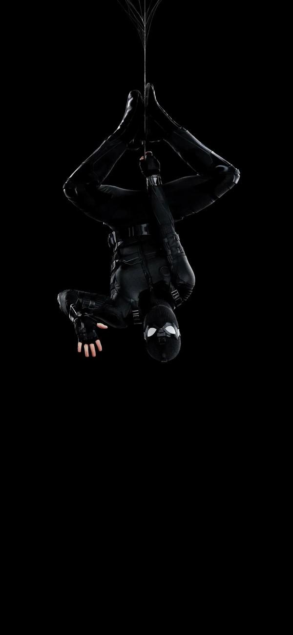 桌布|蜘蛛俠手機桌布,真的有隻豬呀 桌布|蜘蛛俠手機桌布,真的有隻豬呀