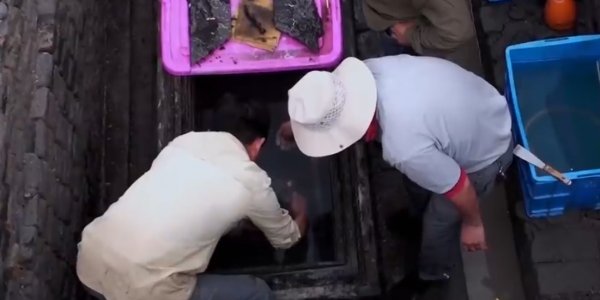 山東挖掘千年古墓，棺中積水清澈見底，墓主人全身漆黑，他是誰？