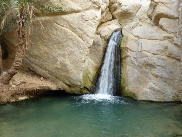 「突尼西亞2014」託澤尓（一）&mdash;&mdash;沙漠中的綠寶石