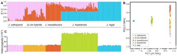 神操作!北京科學家研究核桃,獲國家多個專案支援,引發國際關注! 神操作!北京科學家研究核桃,獲國家多個專案支援,引發國際關注!