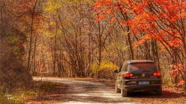 本溪有一個可以自駕遊覽的景區，觀賞紅葉絕美，今年秋天不能錯過