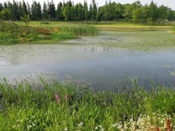 有趣的幼兒故事:我可以乘你的小船嗎? 有趣的幼兒故事:我可以乘你的小船嗎?