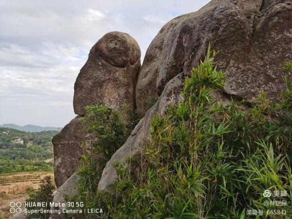 朋友圈2021年第31期