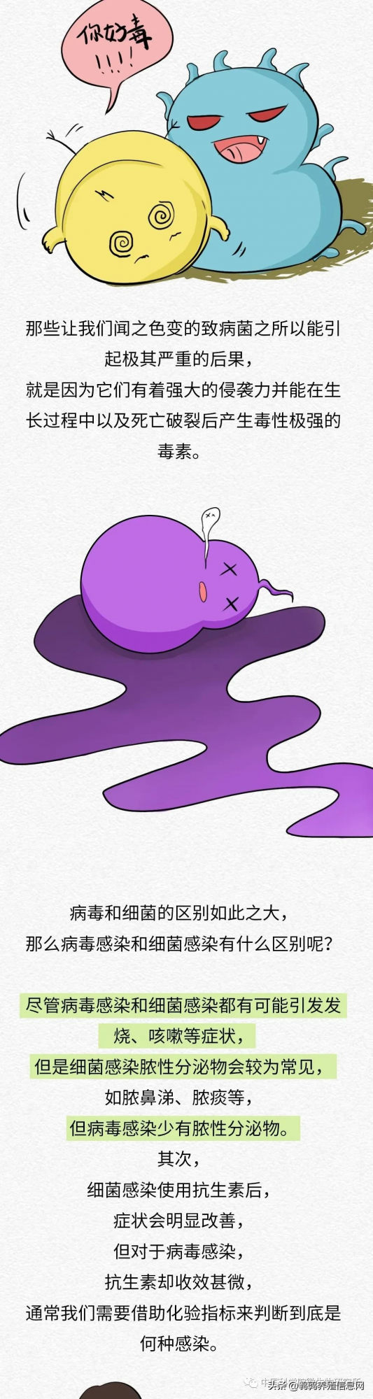 科普 | 病毒和細菌有什麼不同?(下集) 科普 | 病毒和細菌有什麼不同?(下集)