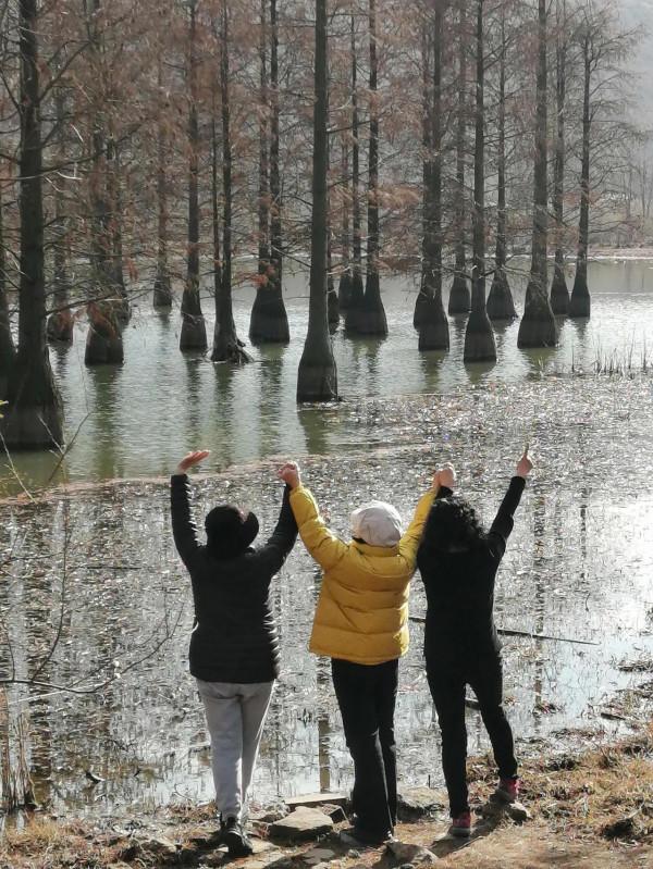 六合池杉湖溼地公園