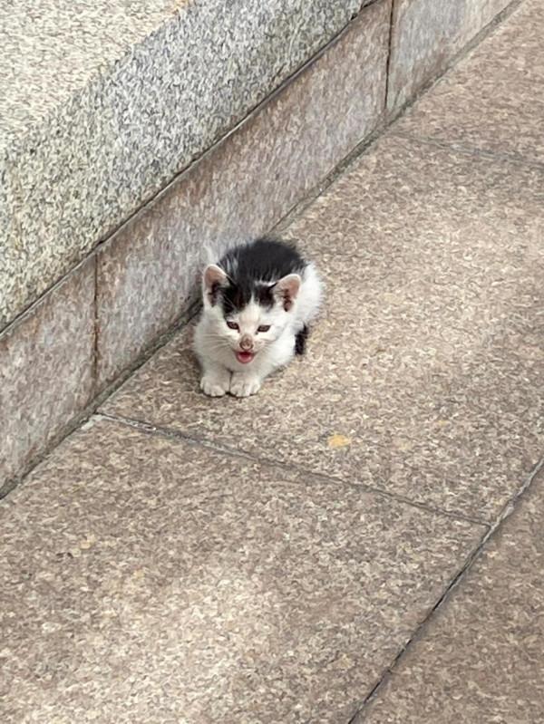 香山景區半日遊