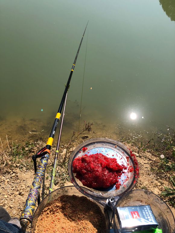 白條哭暈在油鍋，批次釣法分享，也可只釣大的