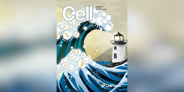 春節七天，驚喜連連：9文一覽近期高水平腸菌研究