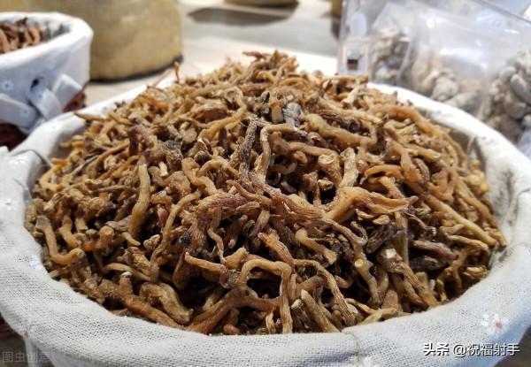 論感冒&mdash;&mdash;諸病理解治析系列