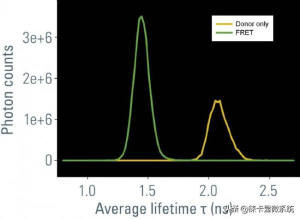 徠卡共聚焦課堂第11講：熒光壽命成像與熒光共振能量轉移