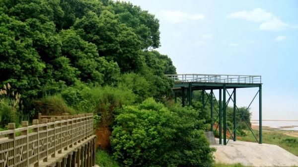 鄱陽湖風光:候鳥南歸鄱湖畔! 鄱陽湖風光:候鳥南歸鄱湖畔!