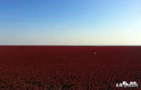 2022年最全旅行清單出爐：說走就走（這次一定）