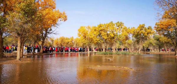 我們為什麼要去旅行? 我們為什麼要去旅行?