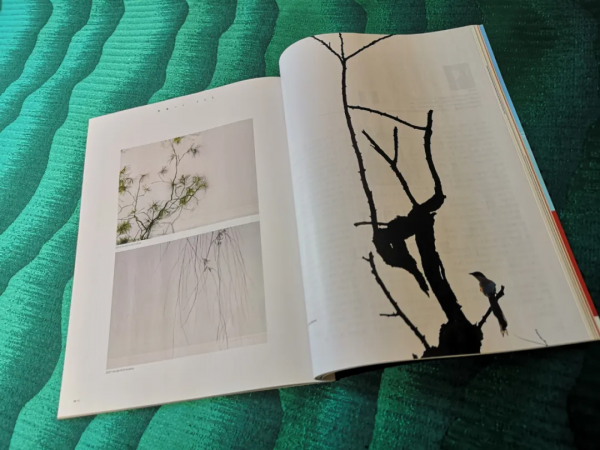 韻染東方 盡顯純淨如詩的極致格調