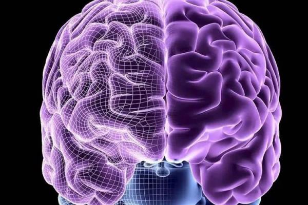 全球首個新冠口服藥物獲批!新冠病毒卻正在“吃掉”人類的大腦 全球首個新冠口服藥物獲批!新冠病毒卻正在“吃掉”人類的大腦