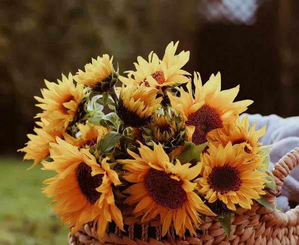 偏是孤眠者 愁心此夜生,十四首不寐的詩詞,寫給失眠者 偏是孤眠者 愁心此夜生,十四首不寐的詩詞,寫給失眠者