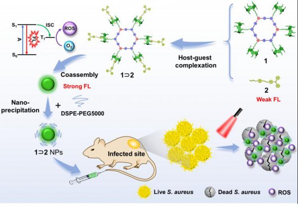 從事重大疾病診治研究!湖北教授團隊:再獲重要進展,吸引世界目光! 從事重大疾病診治研究!湖北教授團隊:再獲重要進展,吸引世界目光!